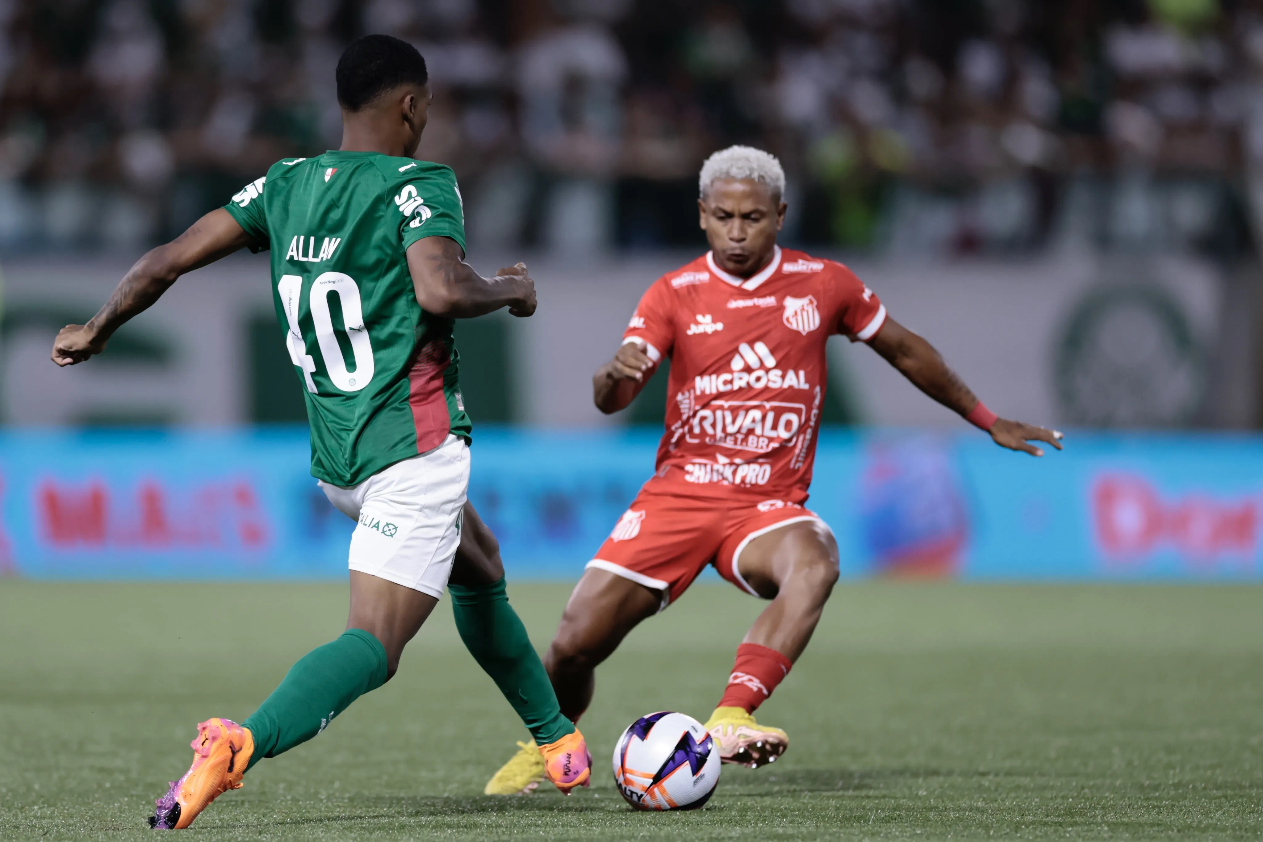 Palmeiras x Capivariano. Foto: Marcello Zambrana/AGIF