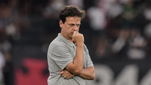 Fernando Diniz, técnico do Vasco