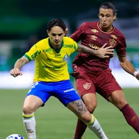 Inteligência Artificial prevê Palmeiras x Fluminense pelo Brasileirão