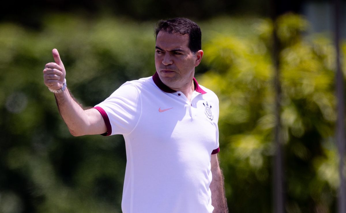 image para ilustrar o artigo