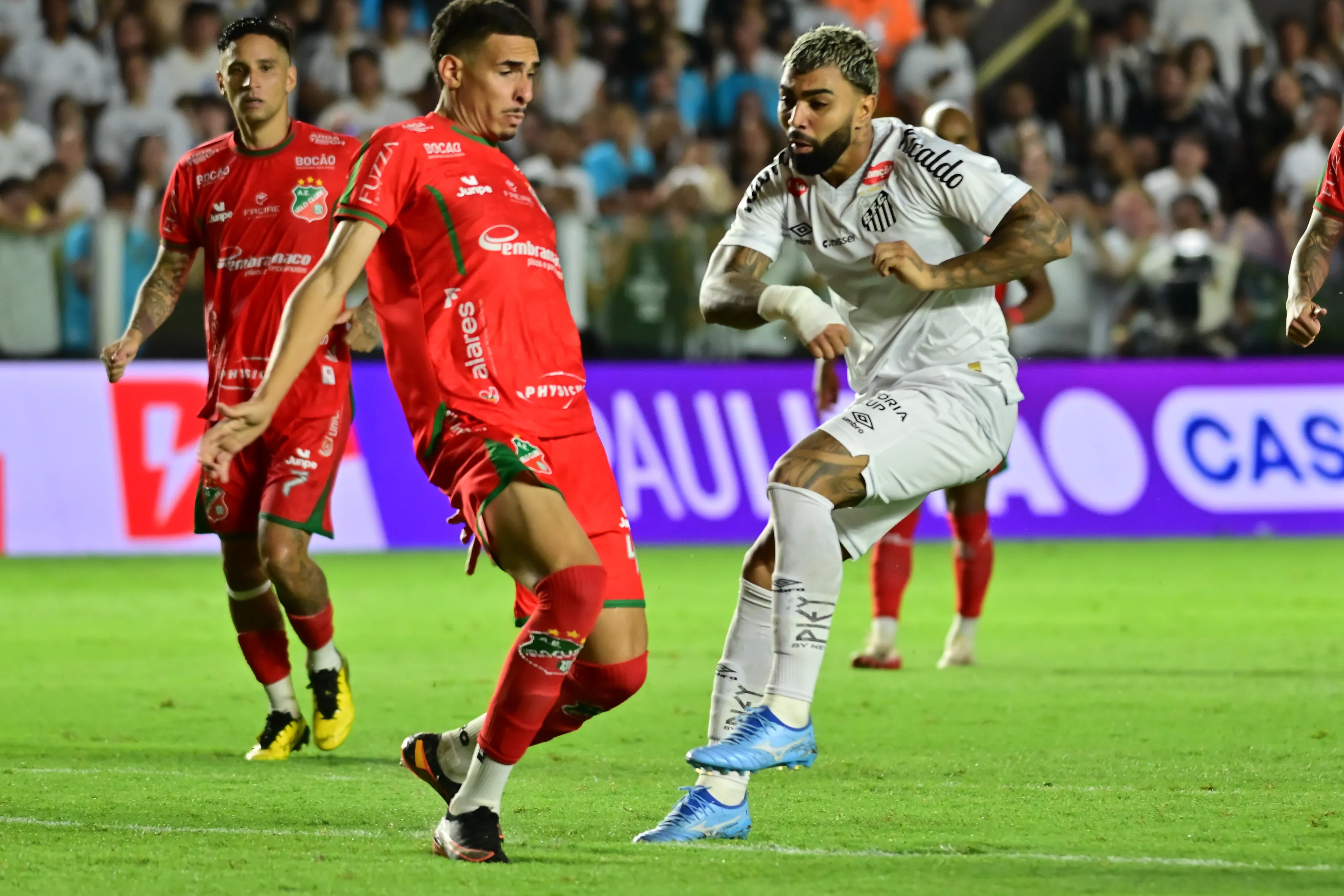 Santos perdeu para o Novorizontino pelo Paulistão. Foto: Jota Erre/AGIF