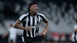 Botafogo tem bom retrospecto como mandante na Libertadores. Foto: Jorge Rodrigues/AGIF