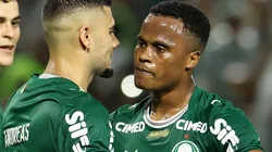 Jhon Arias em campo pelo Verdão. Foto: Cesar Greco/Palmeiras