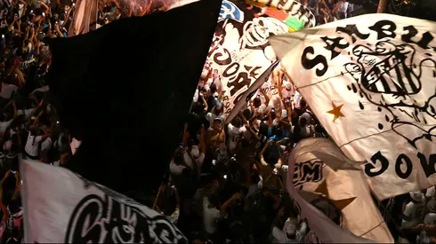 Torcida do Santos durante partida contra Palmeiras no estadio Vila Belmiro pelo campeonato Brasileiro A 2025. Foto: Mauricio De Souza/AGIF