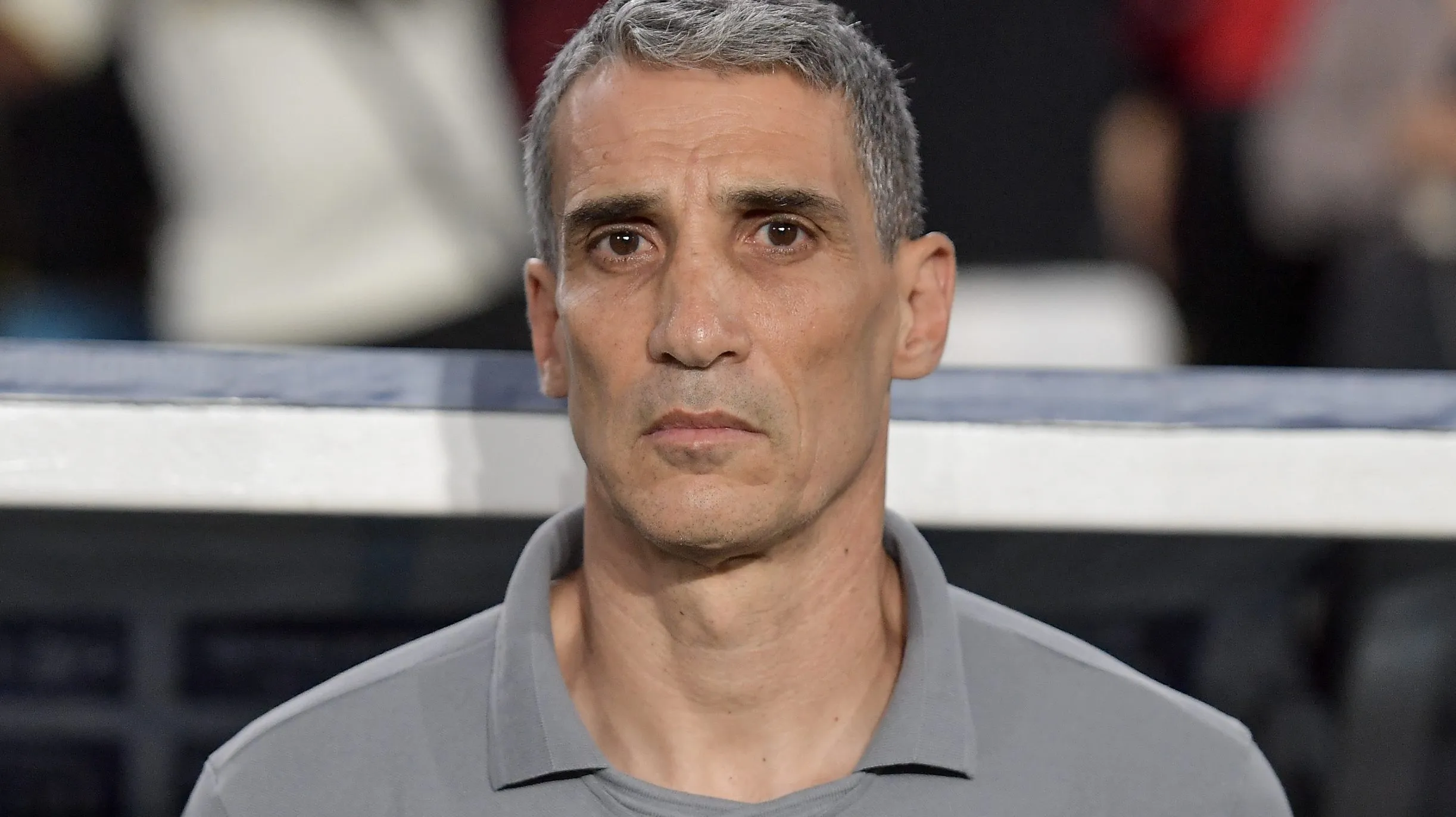 Vojvoda. Foto: Thiago Ribeiro/AGIF