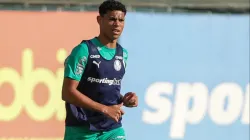 Luis Pacheco, joia do Palmeiras. Foto: Fabio Menotti/Palmeiras