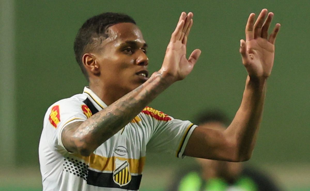 image para ilustrar o artigo