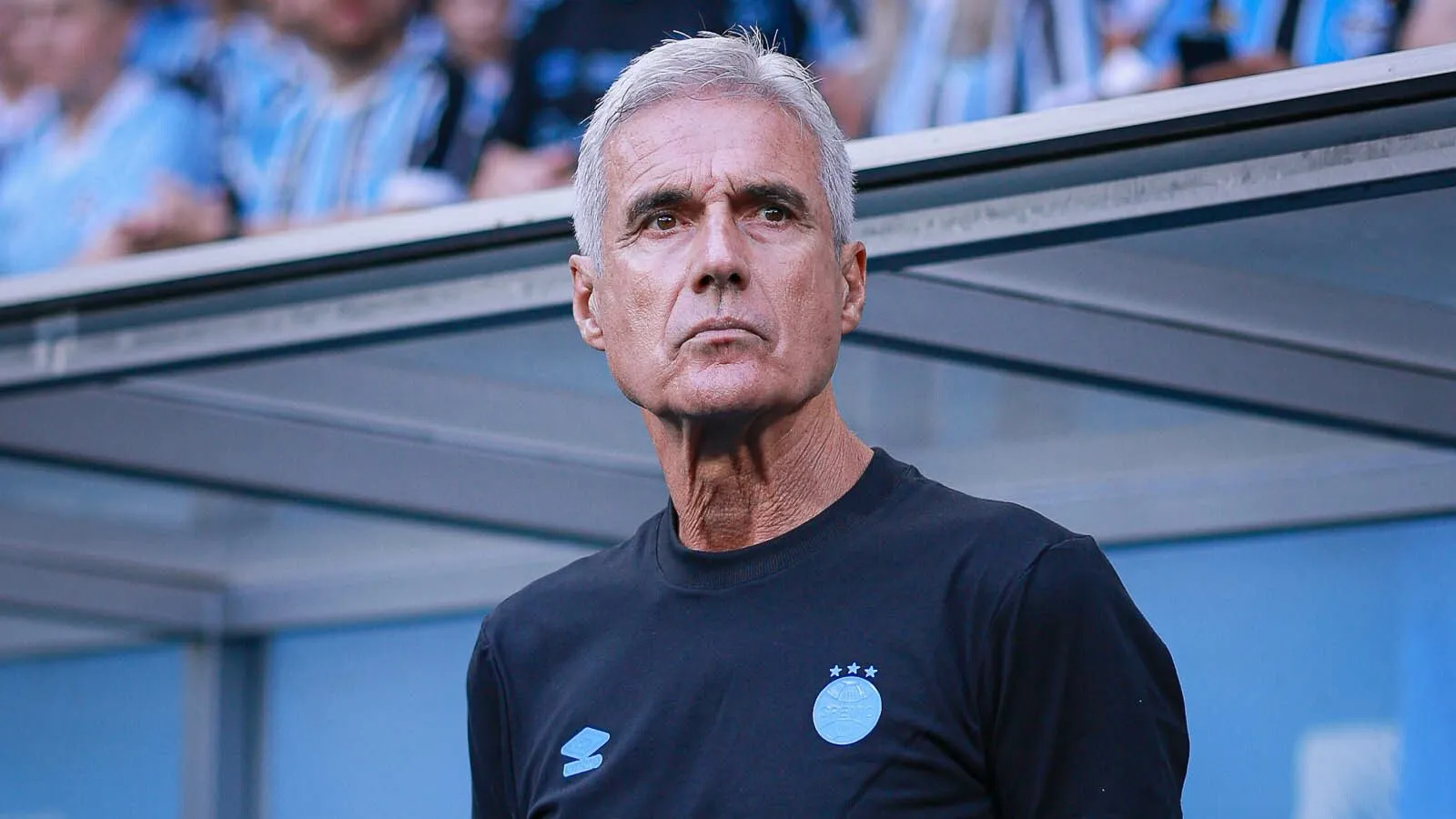 Luís Castro tem a confiança da diretoria - Foto: Maxi Franzoi/AGIF.