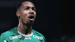 Allan foi autor de golaço pelo Palmeiras em vitória parcial contra o Fluminense