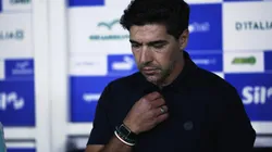 Abel detalhou o desempenho Alviverde e fez alerta - Foto: Ettore Chiereguini/AGIF