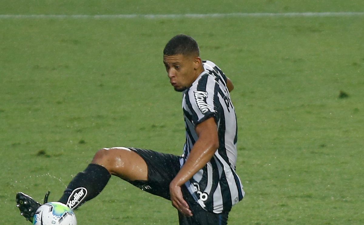 Afastado por Vojvoda no Santos, Alex recebe oferta da Ponte Preta e negócio não avança
