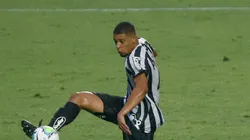 Alex em campo com a camisa do Peixe.