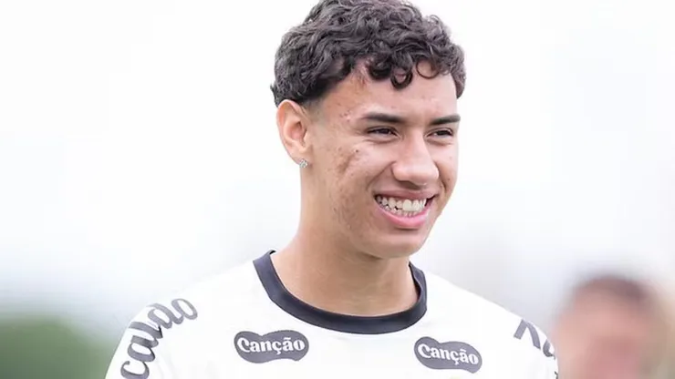 Foto: Raul Baretta/Santos FC
