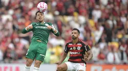 Vitor Roque jogador do Palmeiras durante partida contra o Flamengo no estadio Maracana pelo campeonato Brasileiro A 2025. Foto: Thiago Ribeiro/AGIF
