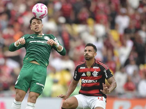 Ranking coloca Flamengo e Palmeiras entre os melhores do mundo