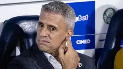 Hernán Crespo é o técnico do São Paulo. Foto: Ettore Chiereguini/AGIF