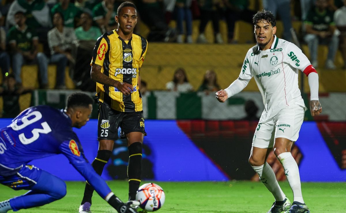 Palmeiras x Novorizontino: Onde assistir, escalações e arbitragem da final do Paulistão 2026