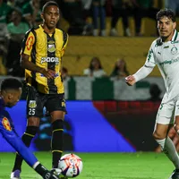 Palmeiras x Novorizontino: Onde assistir, escalações e arbitragem