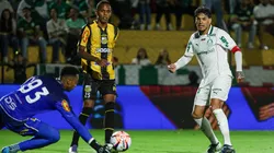 Palmeiras x Novorizontino. Foto: Fabio Menotti/Palmeiras/by Canon