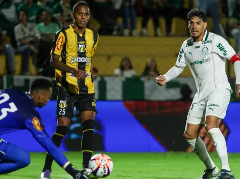 Palmeiras x Novorizontino: Onde assistir, escalações e arbitragem