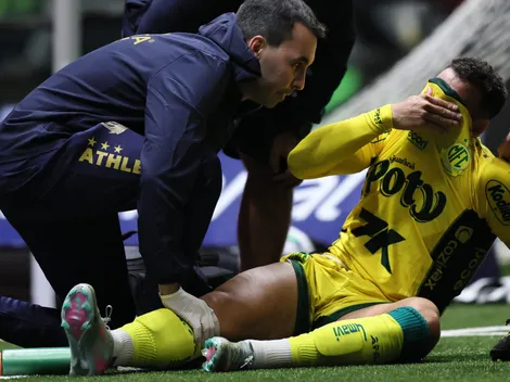 Mirassol ganha reforços importantes e mira força total no Brasileirão