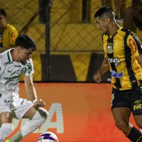Palmeiras leva vantagem no histórico recente contra o Novorizontino