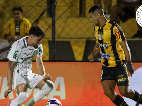 Palmeiras leva vantagem no histórico recente contra o Novorizontino