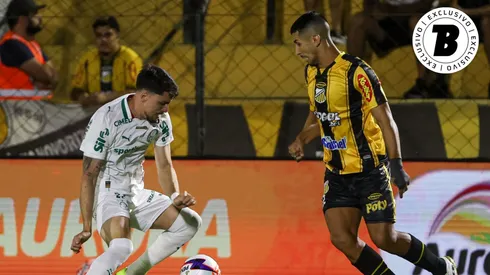 Palmeiras e Novorizontino se enfrentam pela final do Paulistão. Foto: Fabio Menotti/Palmeiras