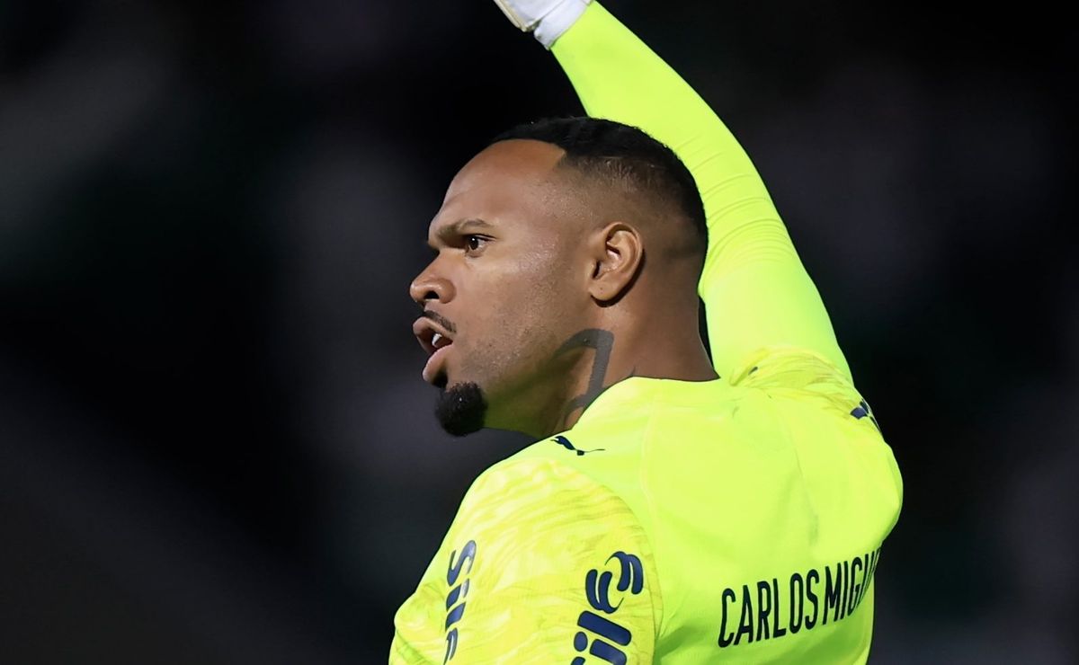 Carlos Miguel analisa Palmeiras 1 x 0 Novorizontino e projeta dificuldades na volta no interior