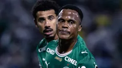 Jhon Arias jogou apenas quatro partidas até aqui pelo Palmeiras, todas entrando como reserva