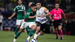 Palmeiras vence Novorizontino na ida, mas histórico recente do Paulistão mostra finais abertas - Ettore ChiereguiniAGIF