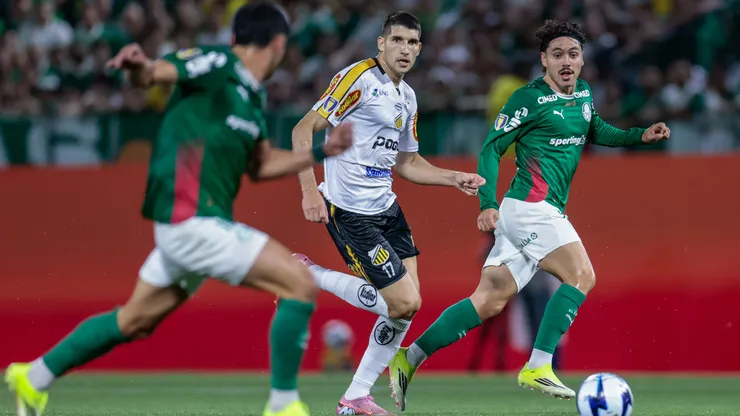 Novorizontino x Palmeiras. Foto: Marcello Zambrana/AGIF