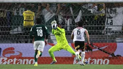 Carlos Miguel goleiro do Palmeiras defende pênalti durante partida contra o Novorizontino. Foto: Ettore Chiereguini/AGIF