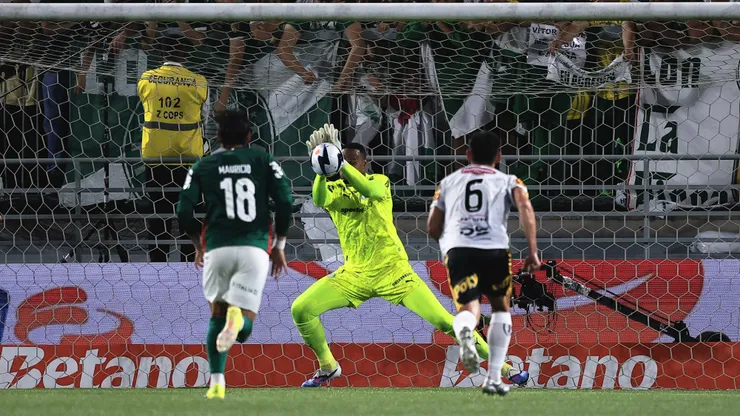 Carlos Miguel goleiro do Palmeiras defende pênalti durante partida contra o Novorizontino. Foto: Ettore Chiereguini/AGIF