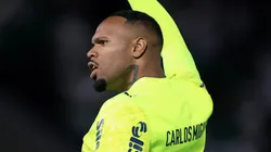 Carlos Miguel goleiro do Palmeiras. Foto: Marcello Zambrana/AGIF