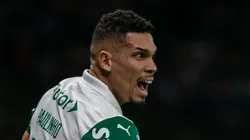 Paulinho jogador do Palmeiras durante partida contra o Cruzeiro no estadio Mineirao pelo campeonato Brasileiro A 2025. Foto: Fernando Moreno/AGIF