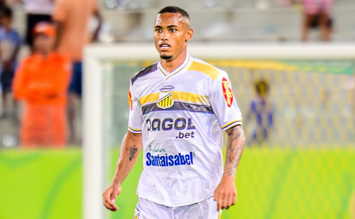 image para ilustrar o artigo