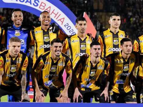 Novorizontino aumenta bicho milionário para a final contra o Palmeiras