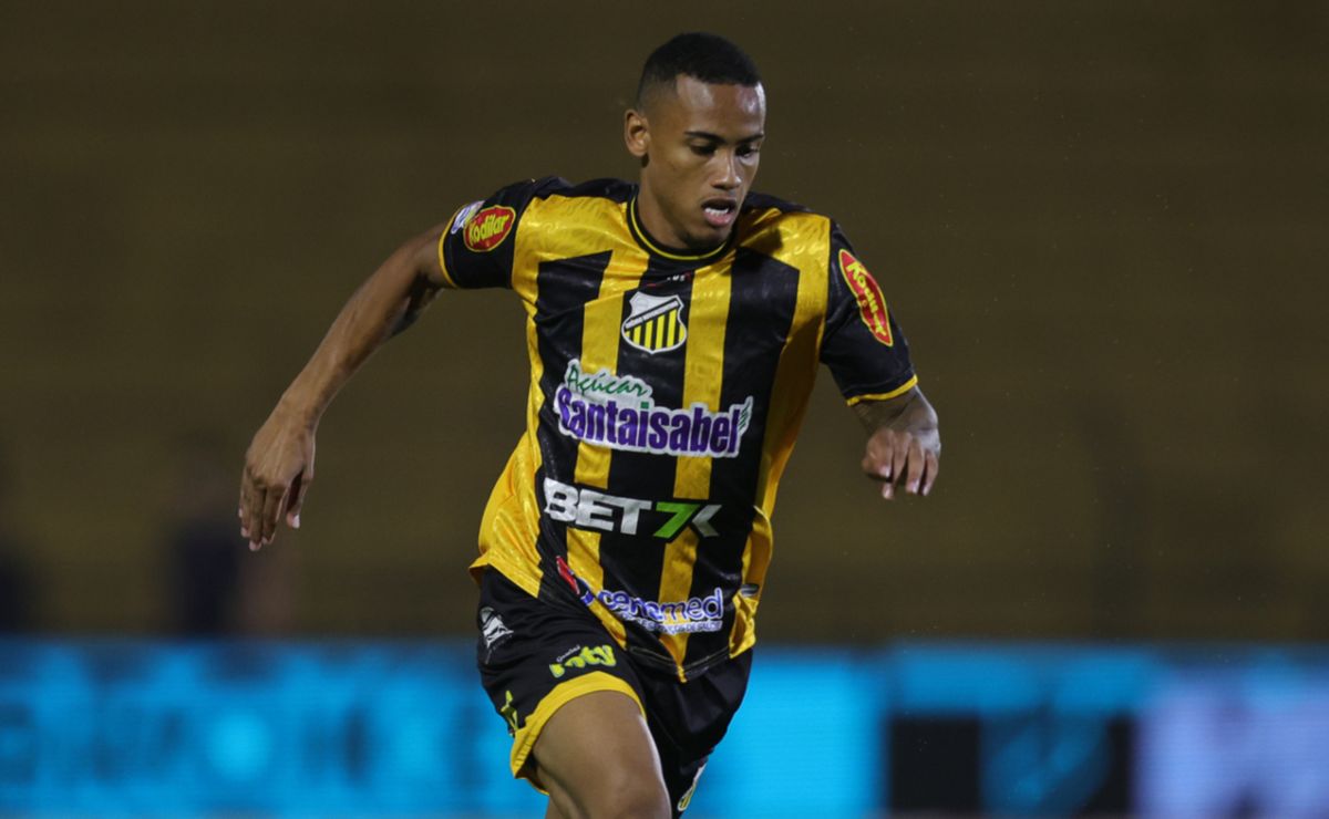 image para ilustrar o artigo