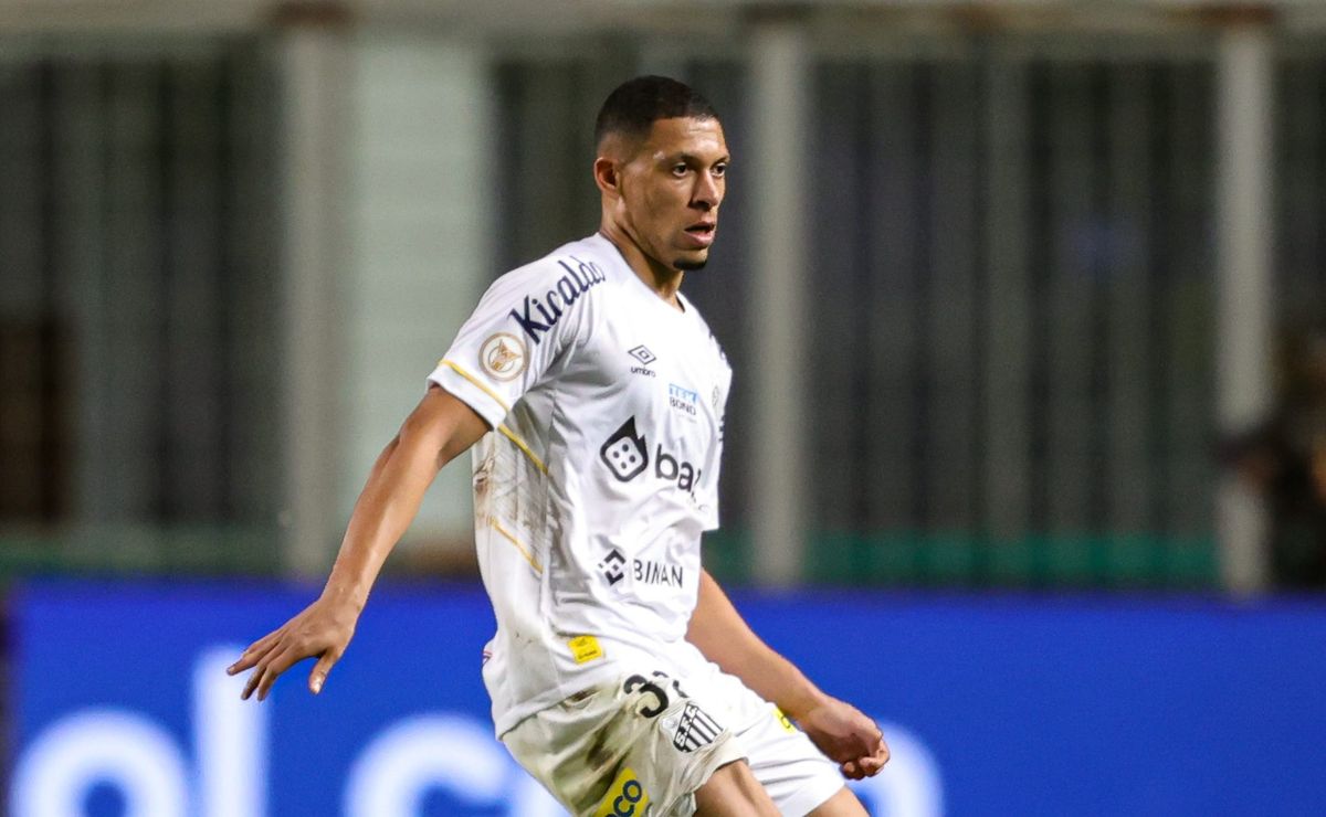 image para ilustrar o artigo