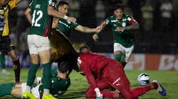 Palmeiras x Novorizontino final do Paulistão