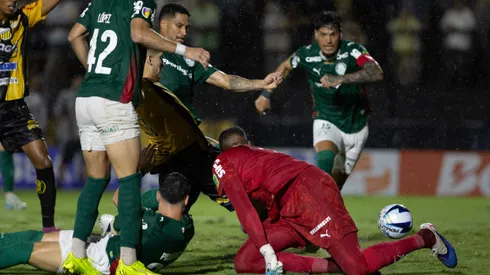 Palmeiras x Novorizontino final do Paulistão