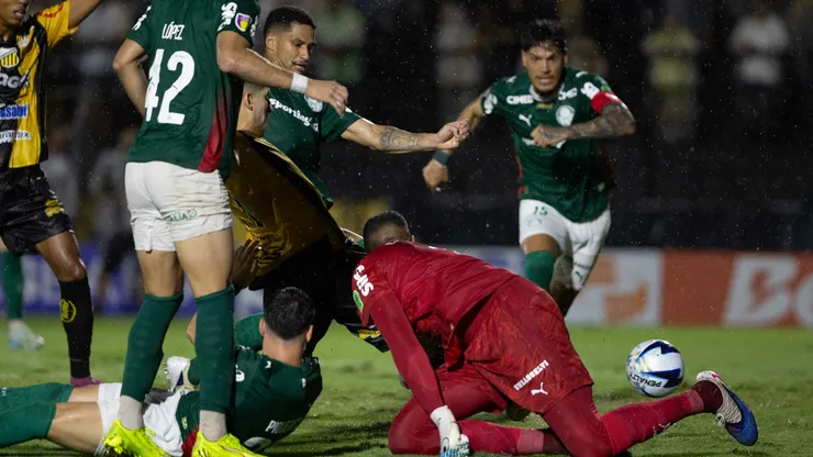 Palmeiras x Novorizontino final do Paulistão