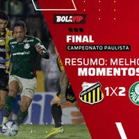 Palmeiras vence o Novorizontino e se sagra campeão do Paulistão