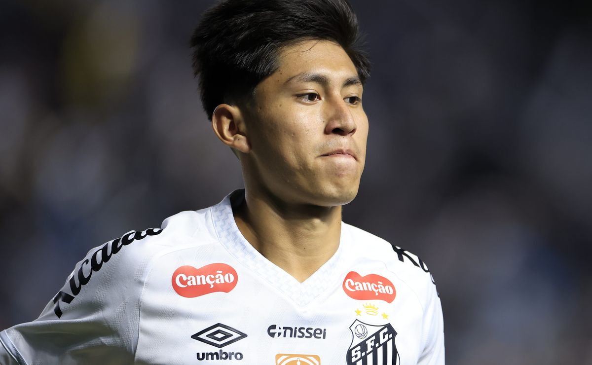 image para ilustrar o artigo