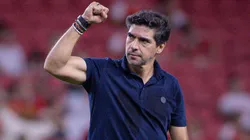 Abel Ferreira conquistou 11 títulos desde que chegou ao Brasil