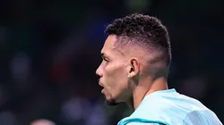 Paulinho em campo com a camisa do Verdão.