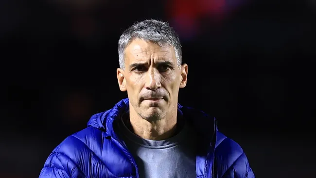 Vojvoda, técnico do Santos