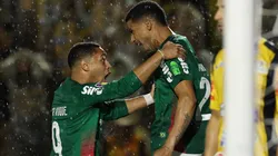 Murilo (à direita) lesionou ligamento colateral medial do joelho esquerdo e desfalca Palmeiras nas próximas rodadas do BR-26 - Foto: César Greco/Ag. Palmeiras