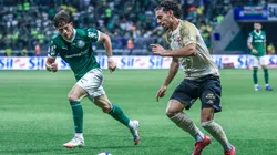 Vasco x Palmeiras. Foto: Marcello Zambrana/AGIF